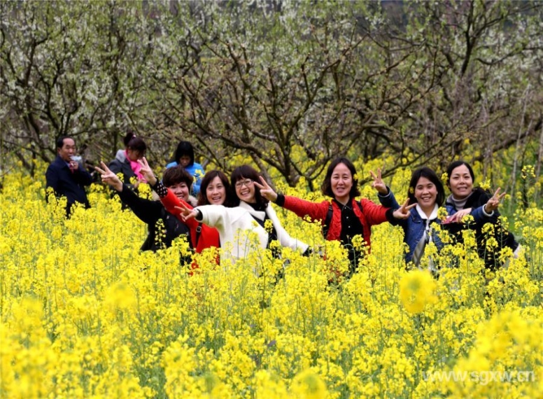 花海吸引無數(shù)游客到來。 張偉 攝.jpg